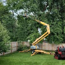 Best Tree Removal Service  in Thomaston, GA