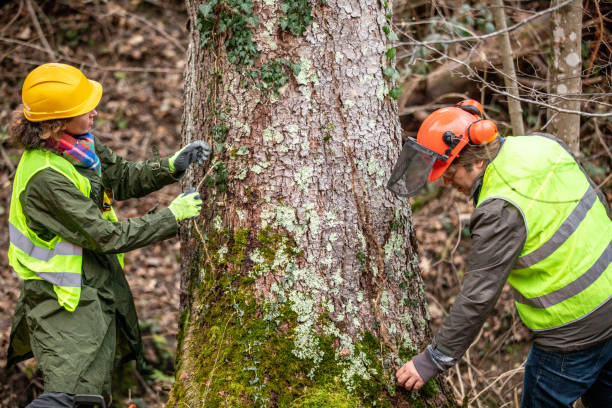 Best Tree and Shrub Care  in Thomaston, GA